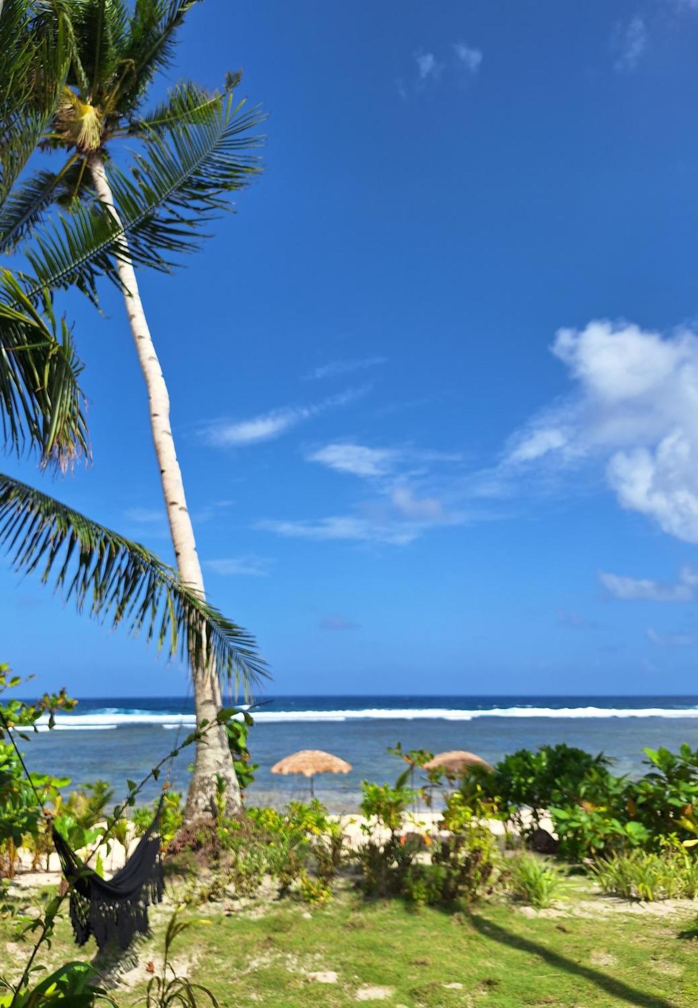 Bamboo Surf Beach San Isidro  Zewnętrze zdjęcie