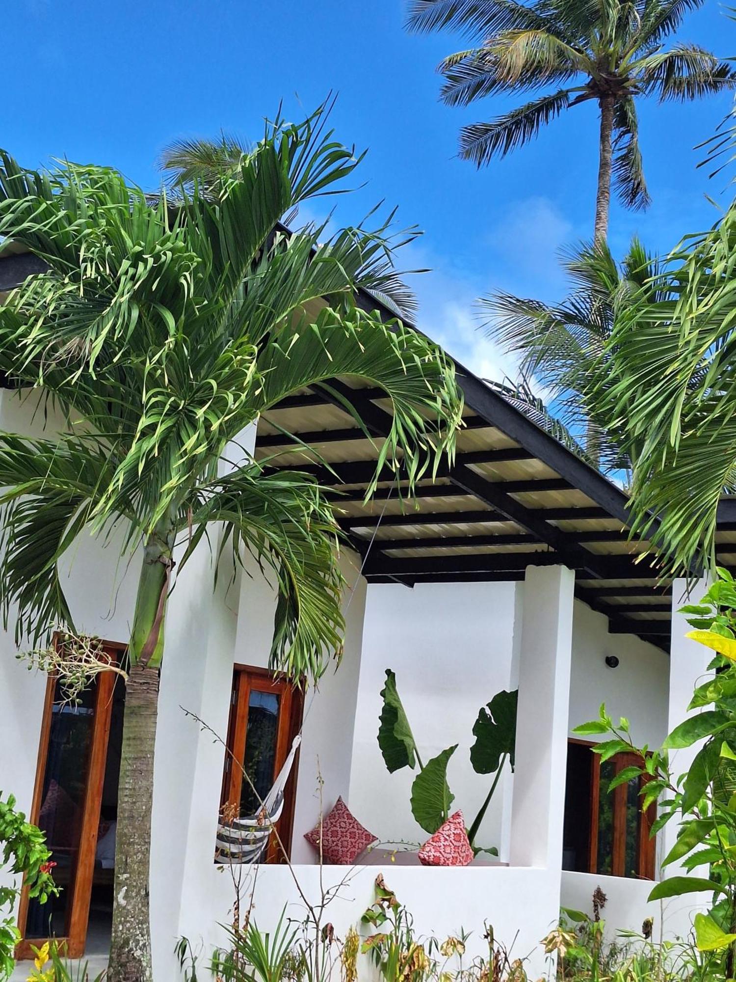 Bamboo Surf Beach San Isidro  Zewnętrze zdjęcie